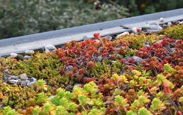 the cost of Philpot End green roof installation