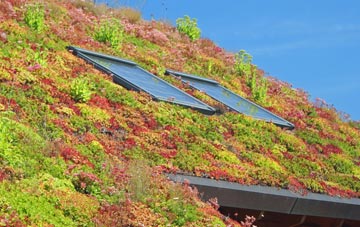 Philpot End living roof systems